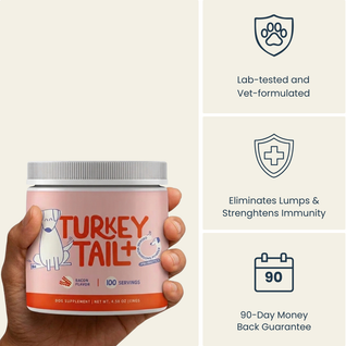 Turkey's tail